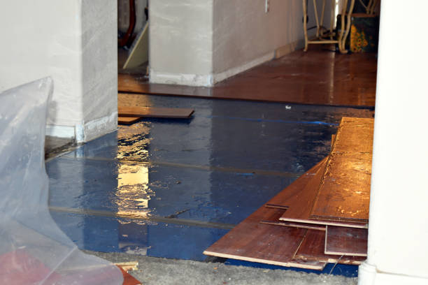 Professional Basement Flood Cleanup technician working in Cedar Knolls, NJ
